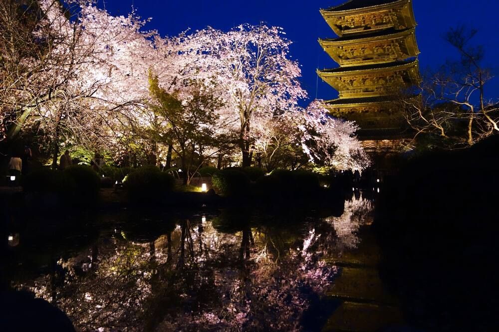 المظهر الخارجي