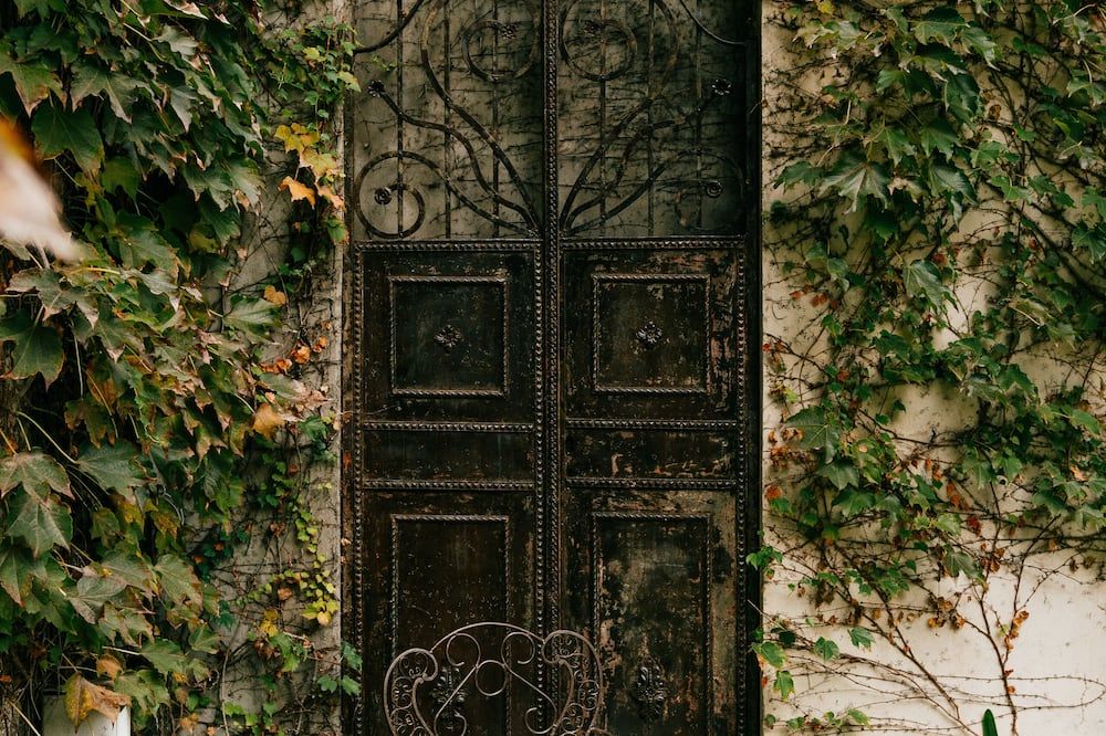 المظهر الخارجي