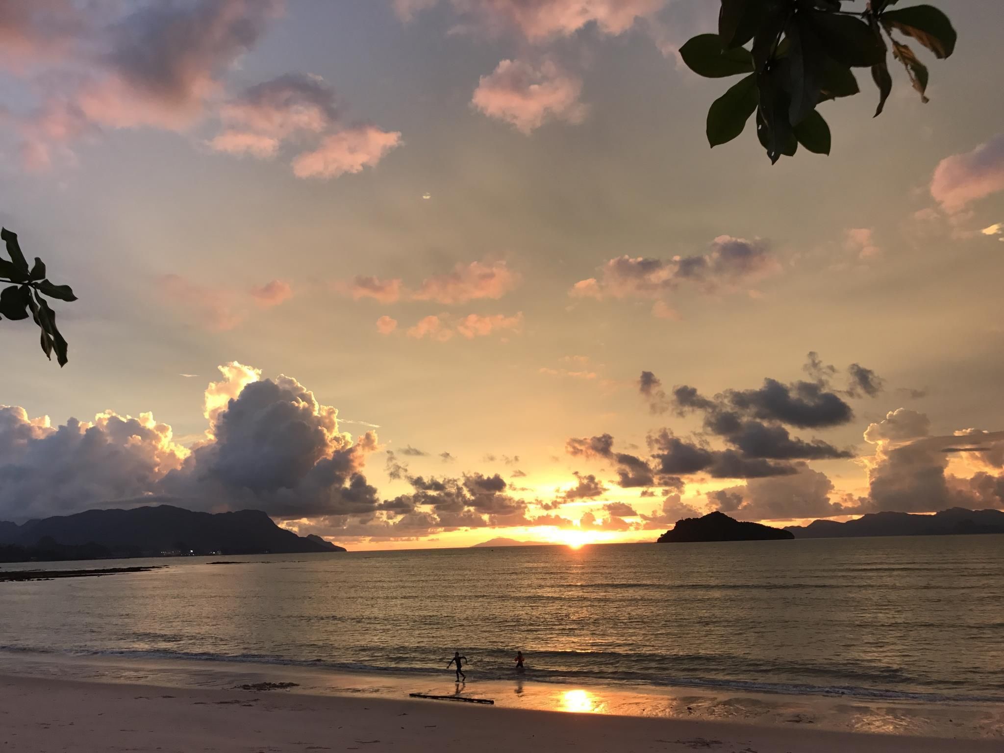 المظهر الخارجي