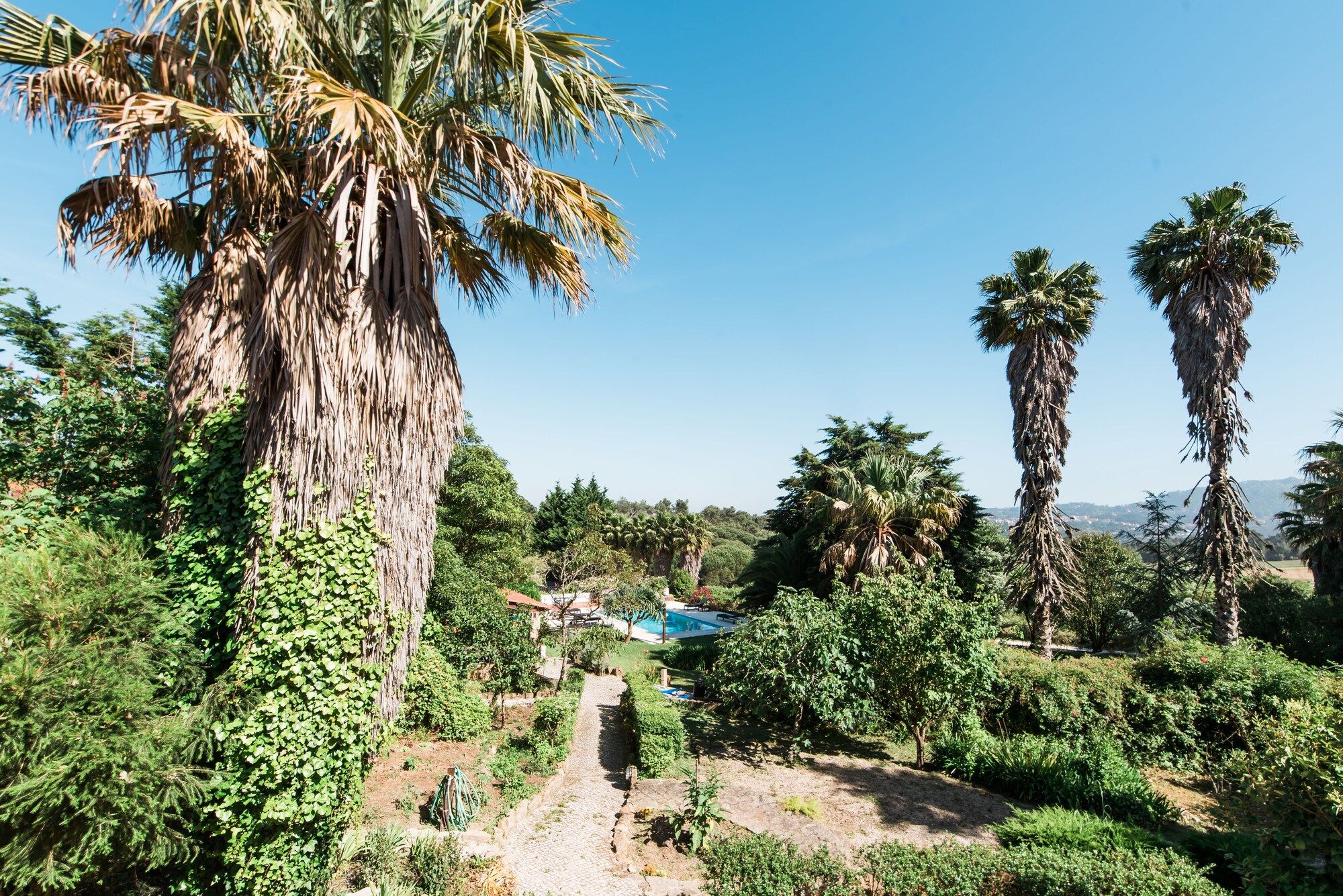 المظهر الخارجي