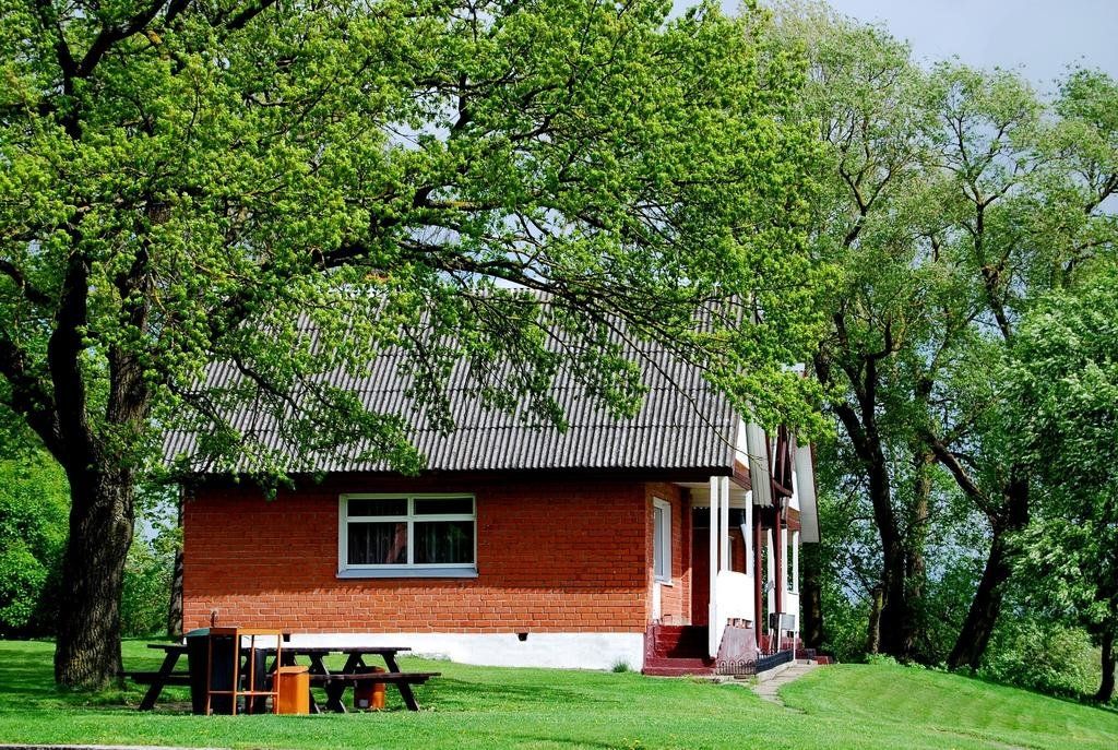 المظهر الخارجي