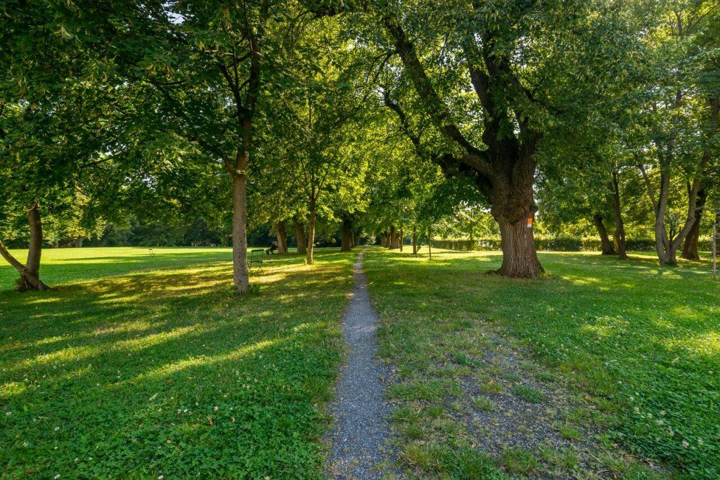 المظهر الخارجي