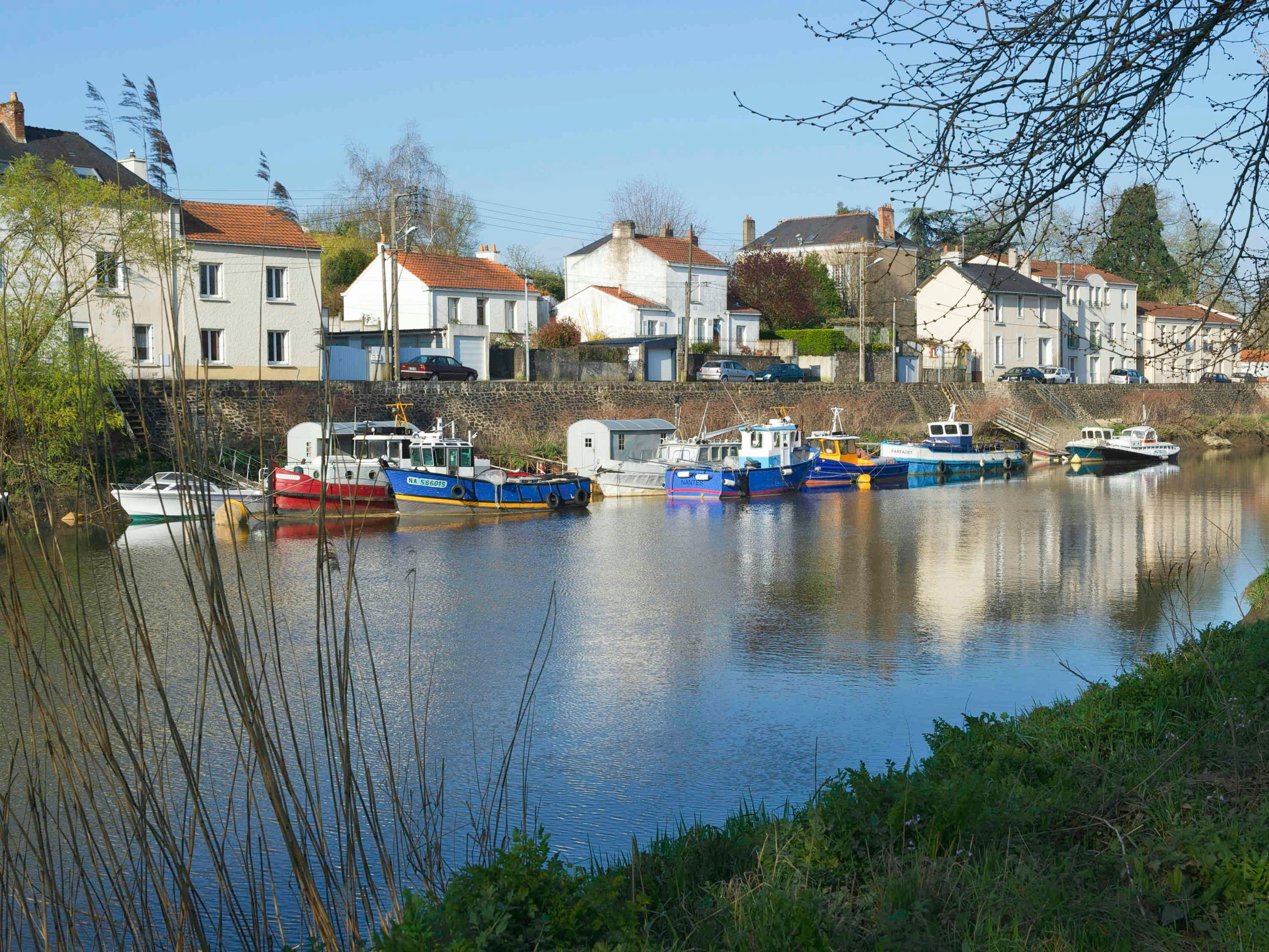 المظهر الخارجي