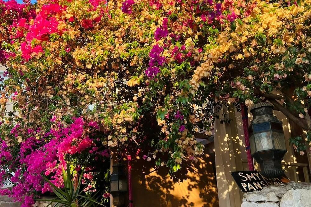 المظهر الخارجي