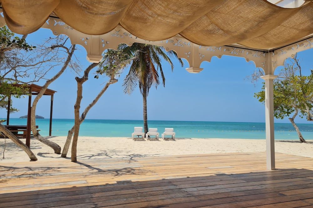 شاطئ صورة