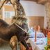 آخر