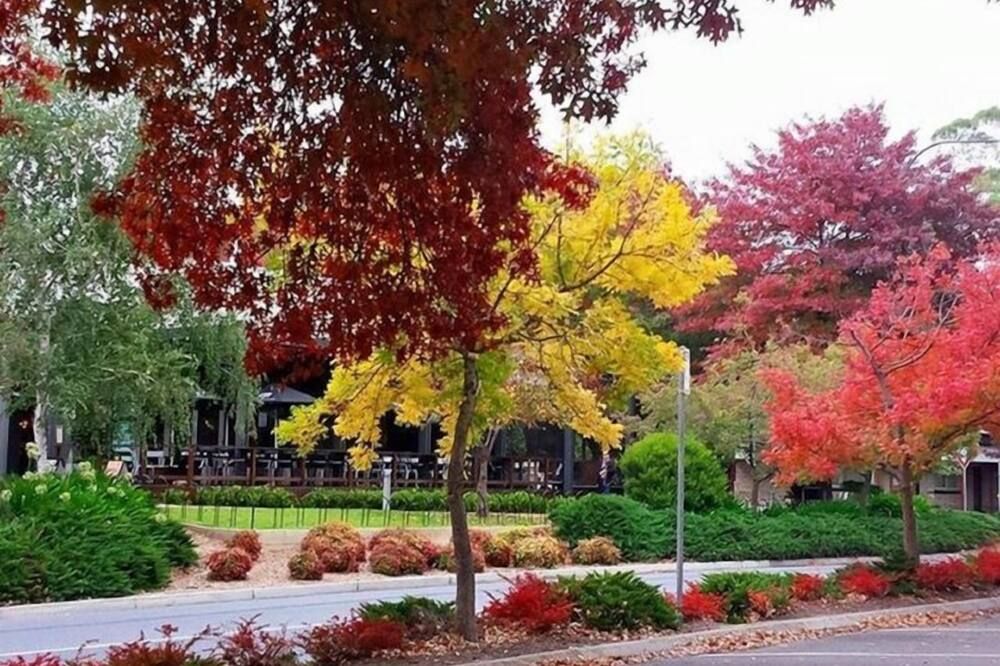 المظهر الخارجي