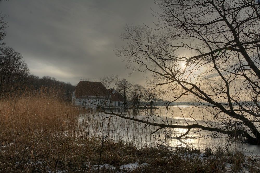 المظهر الخارجي