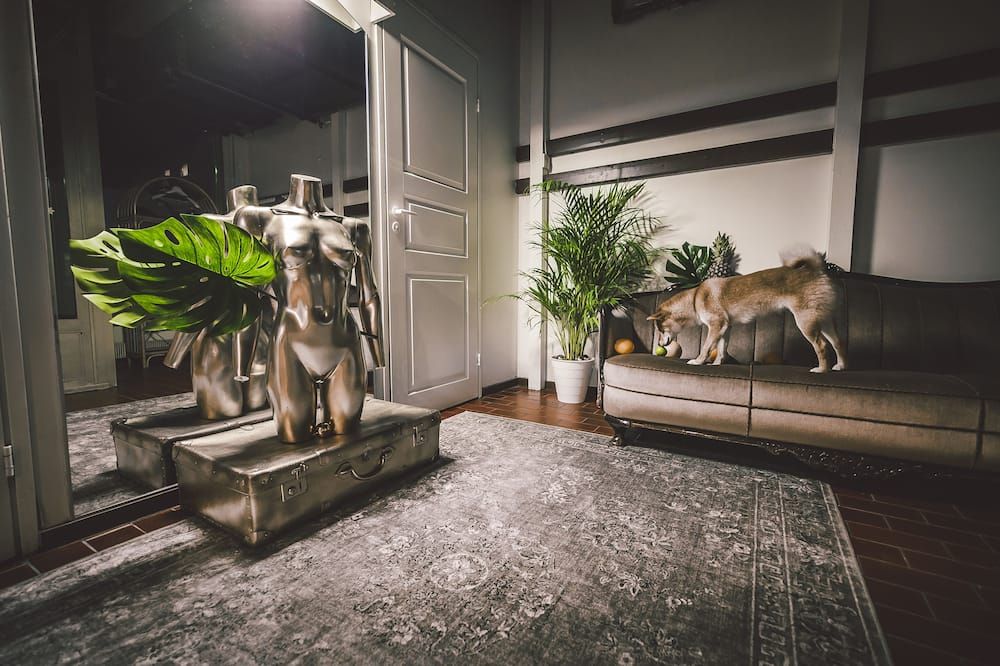 غرفة معيشة صورة