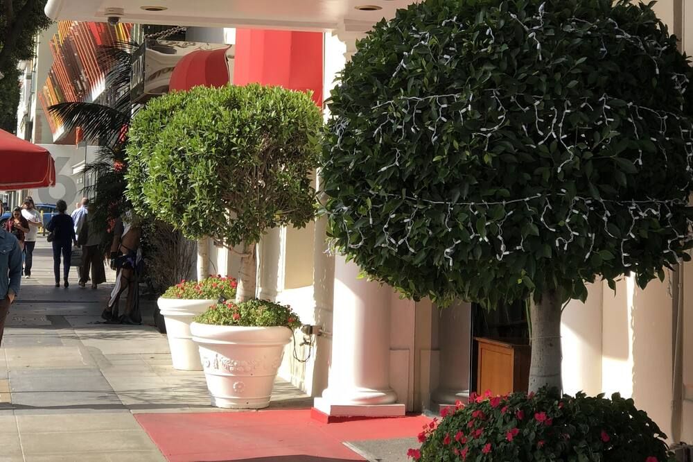 المظهر الخارجي