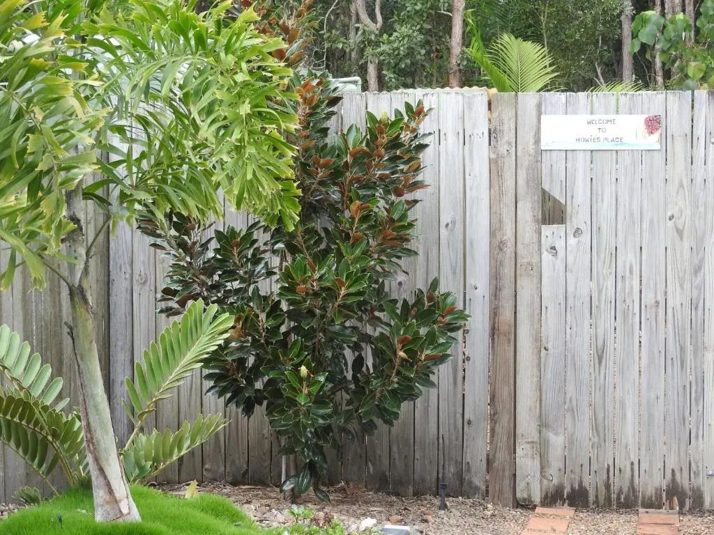 المظهر الخارجي