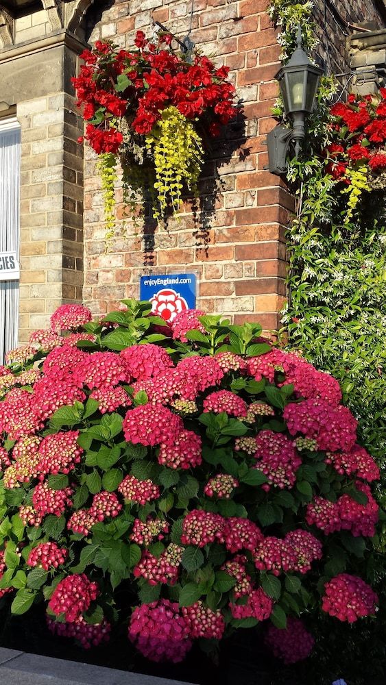 المظهر الخارجي