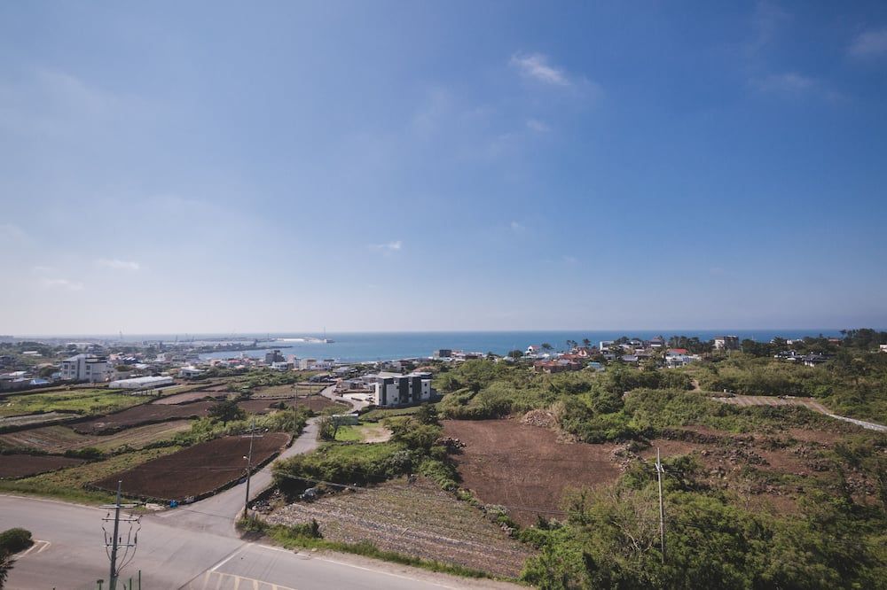 المظهر الخارجي