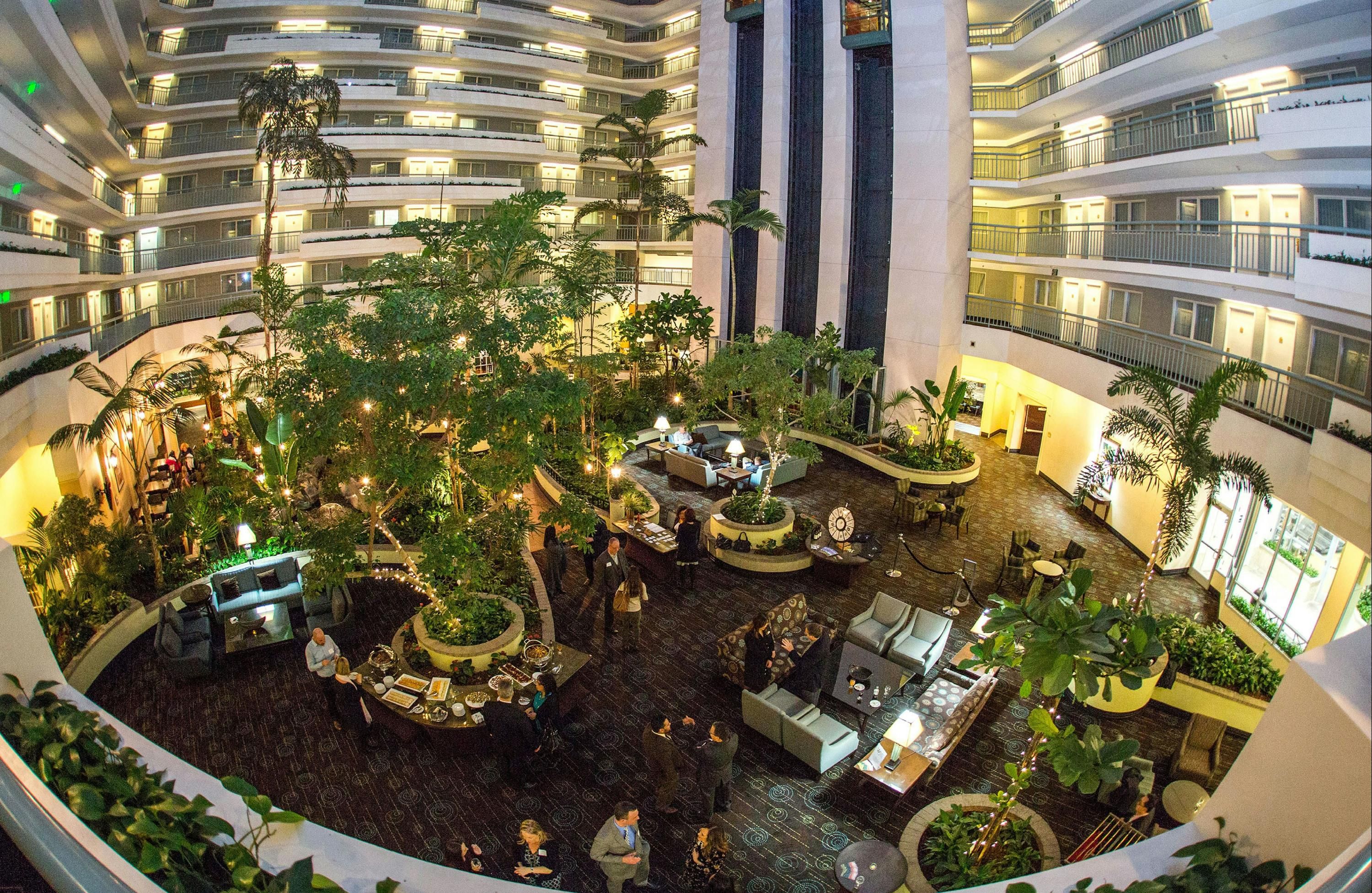 المظهر الخارجي