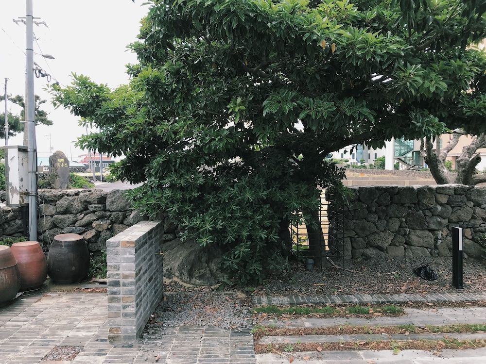 المظهر الخارجي