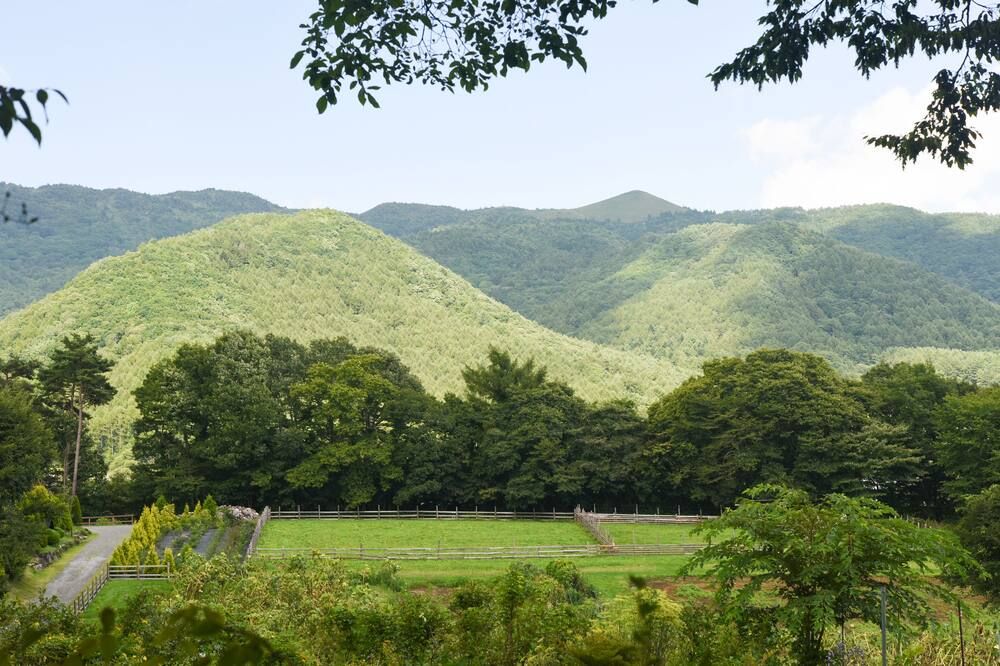 المظهر الخارجي