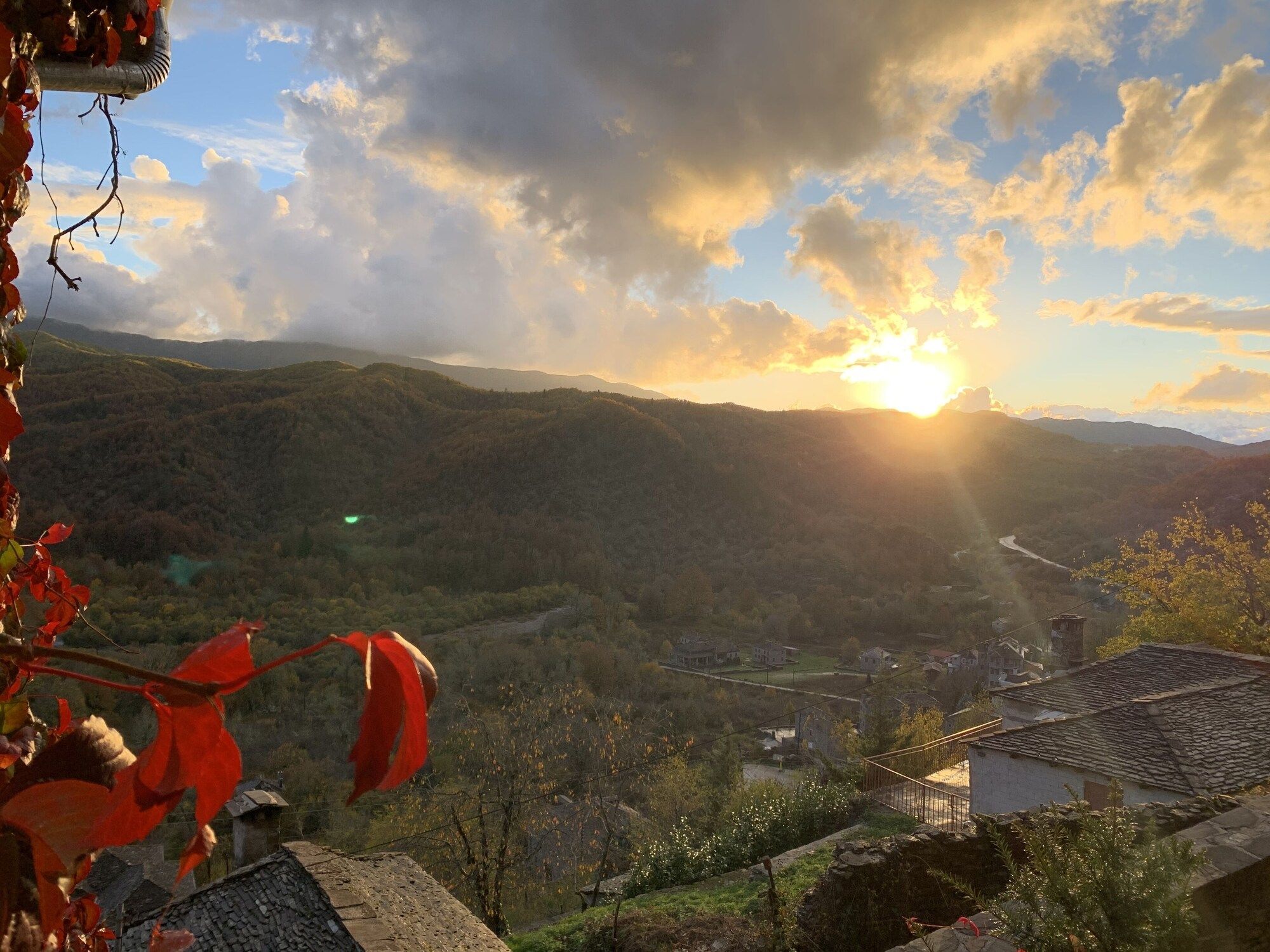 المظهر الخارجي