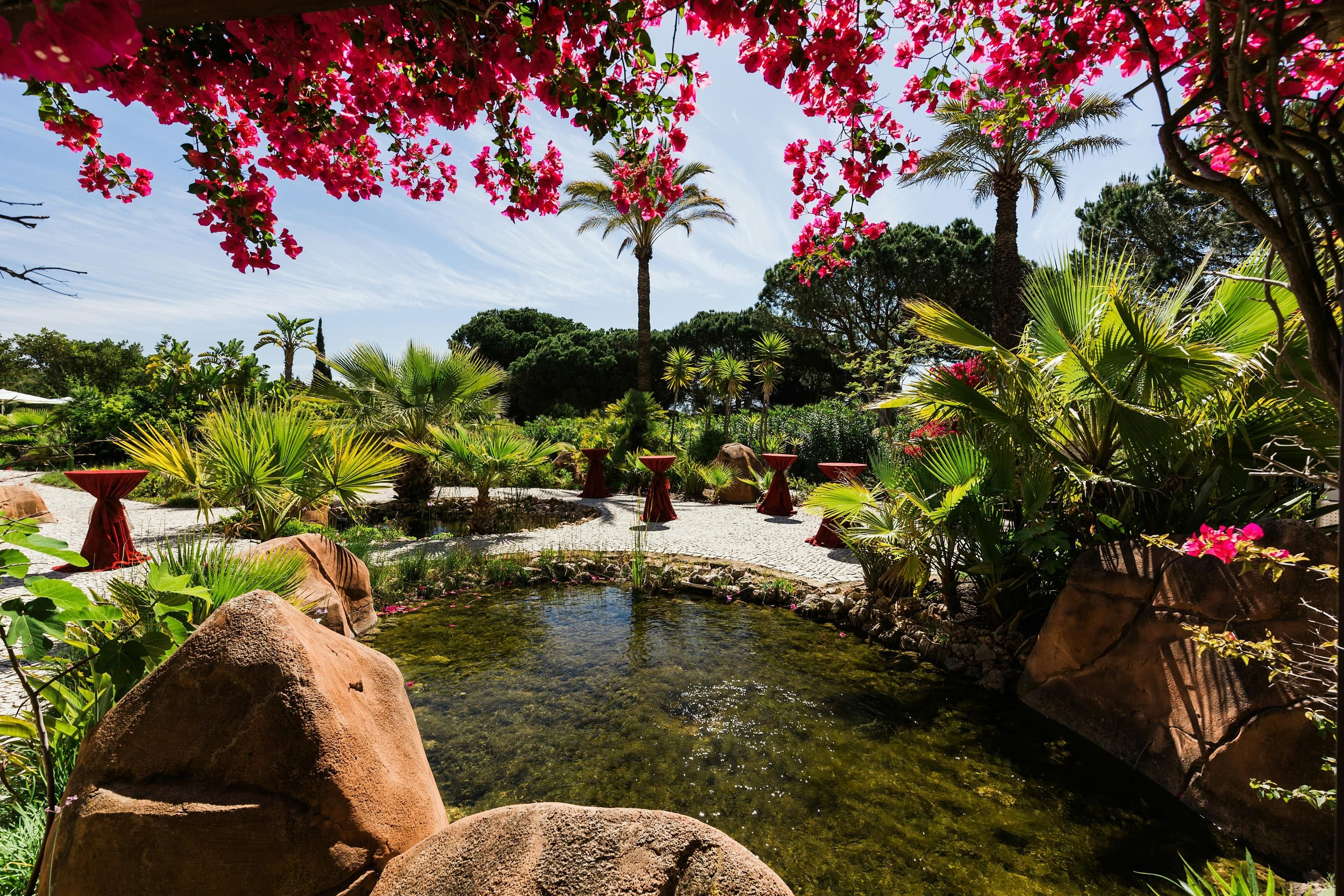 المظهر الخارجي