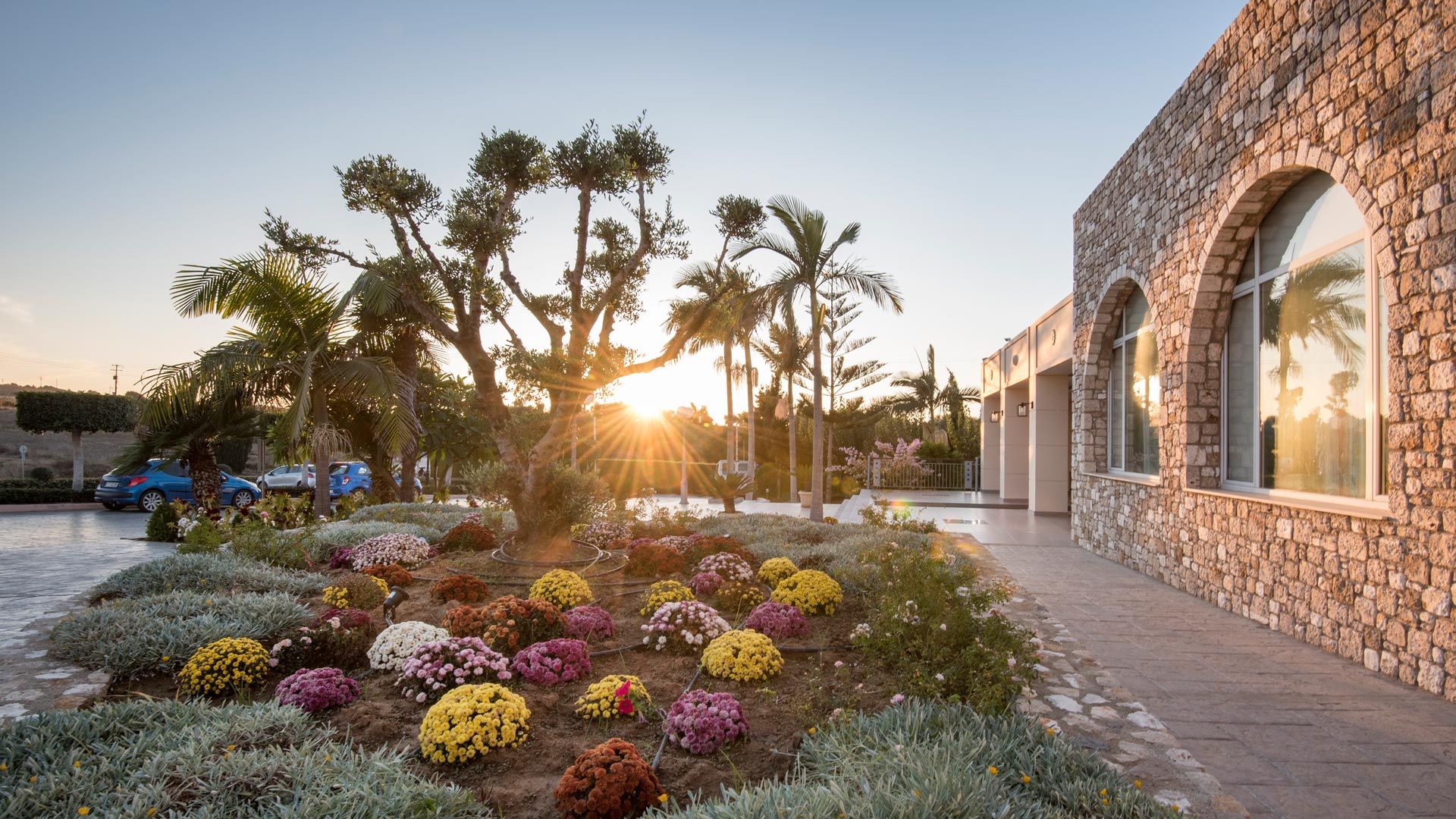 المظهر الخارجي