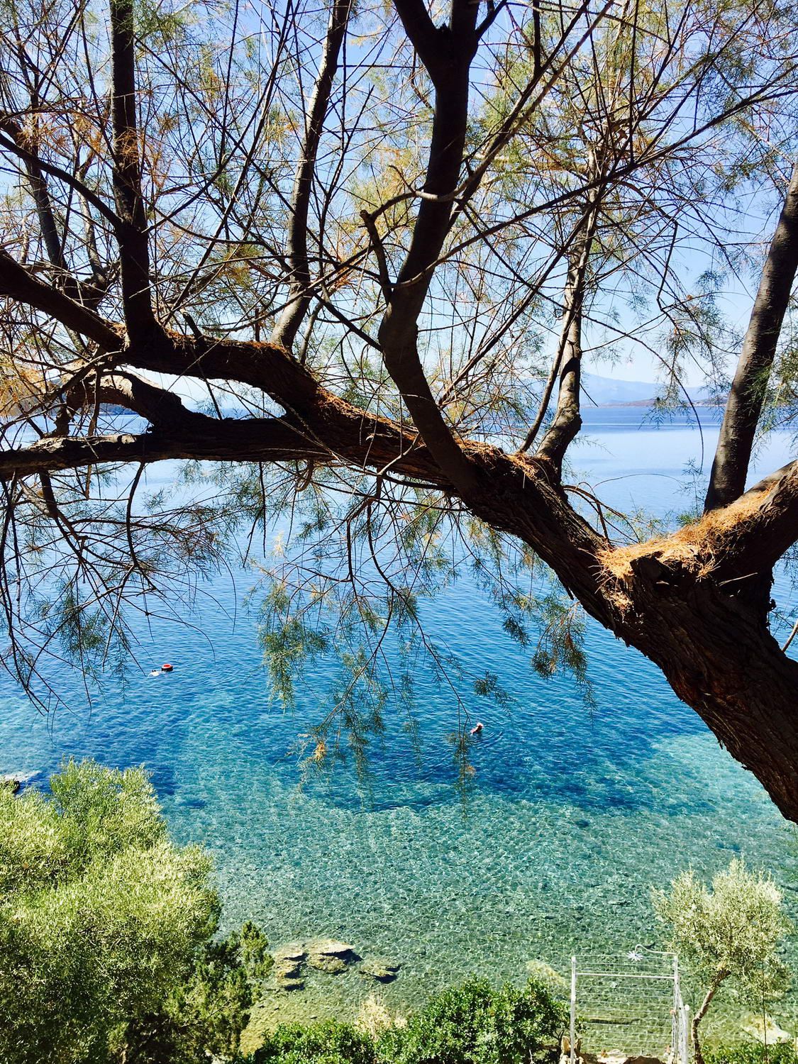 المظهر الخارجي