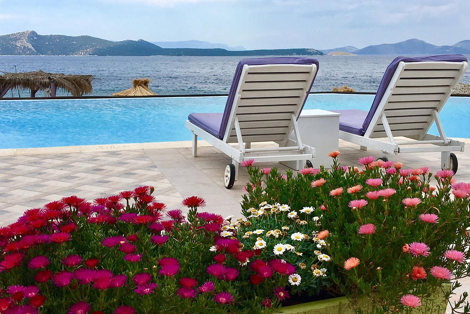 حوض السباحة صورة