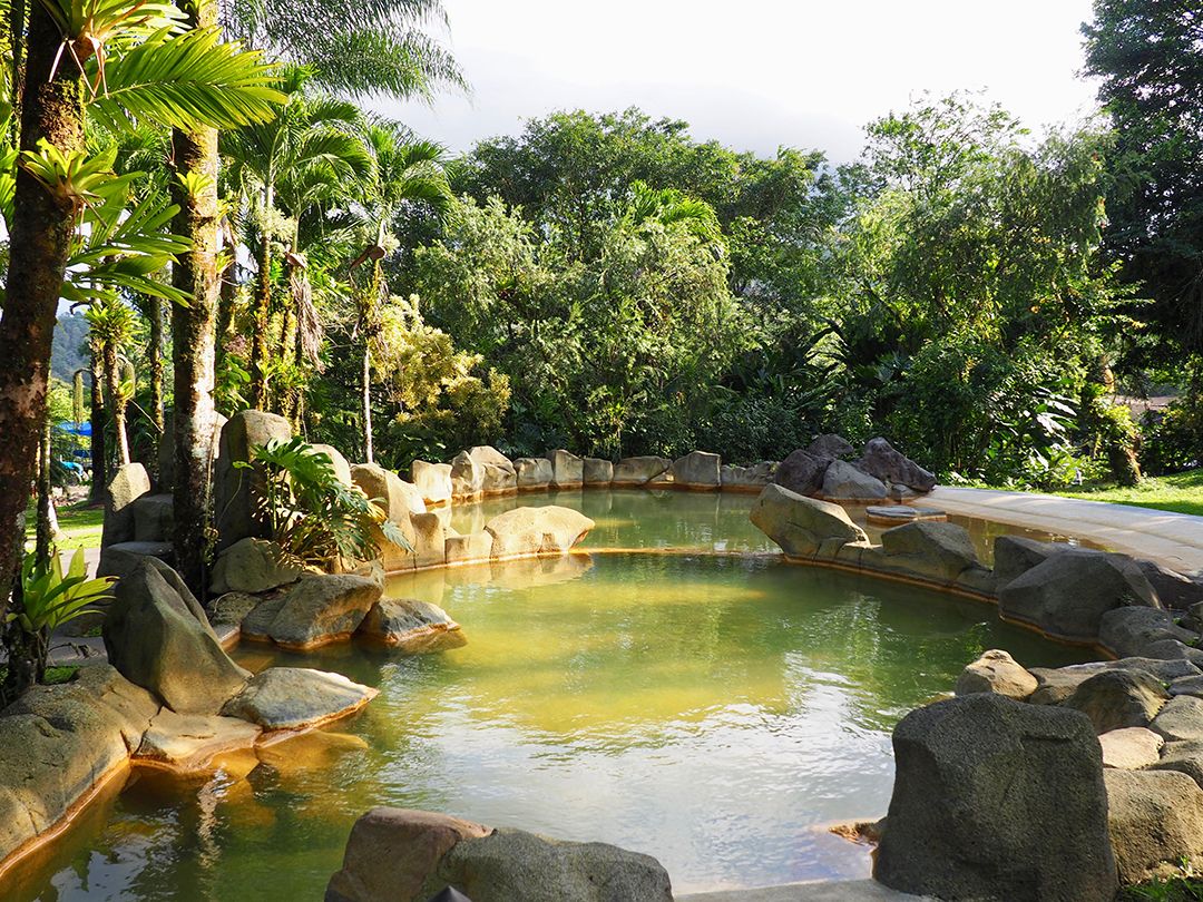 المظهر الخارجي