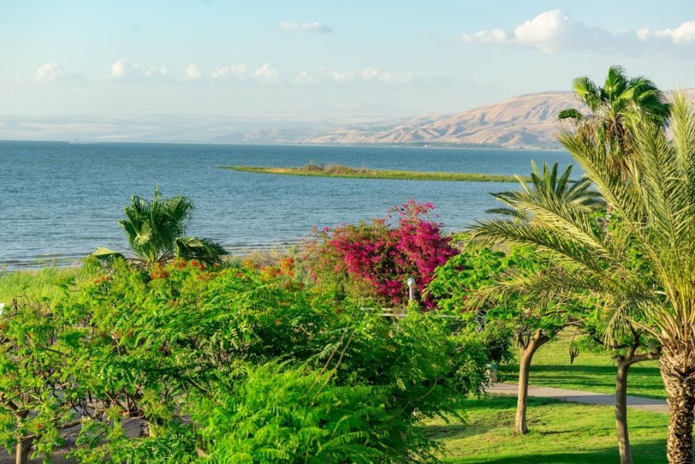 المظهر الخارجي