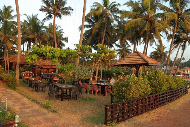 المظهر الخارجي