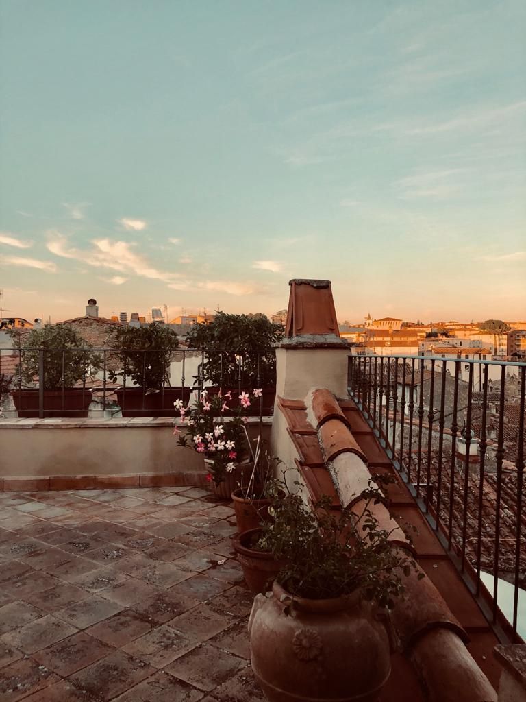 المظهر الخارجي