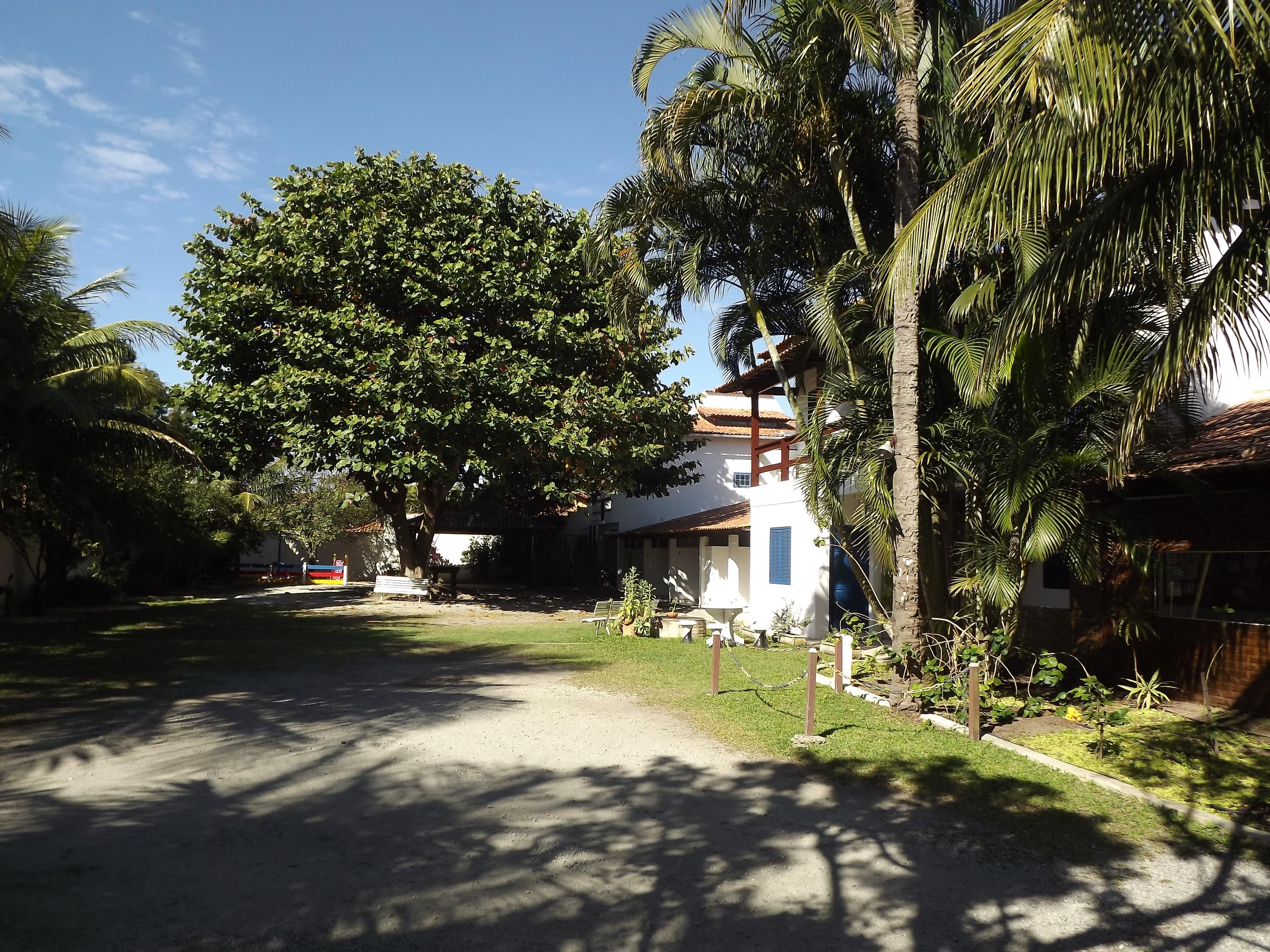 المظهر الخارجي