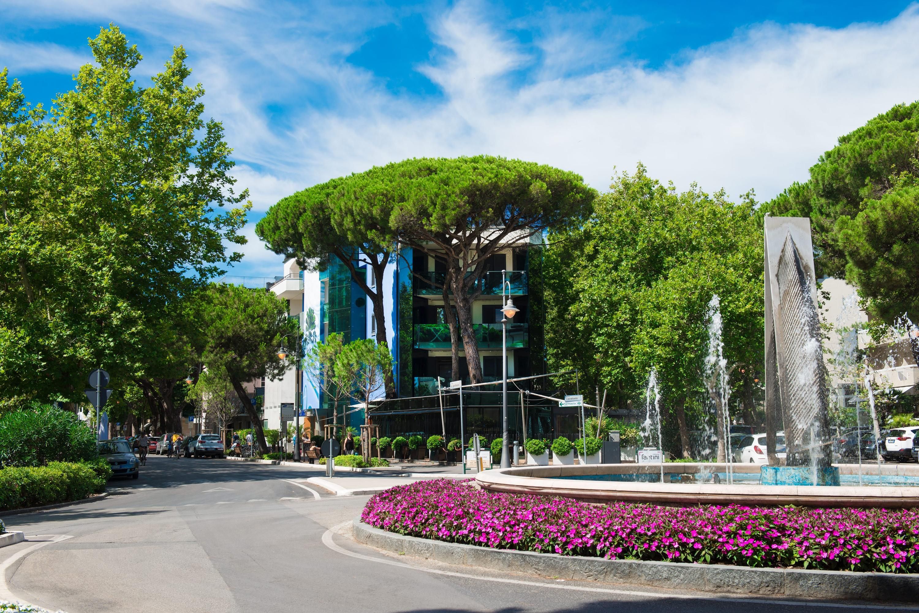 المظهر الخارجي