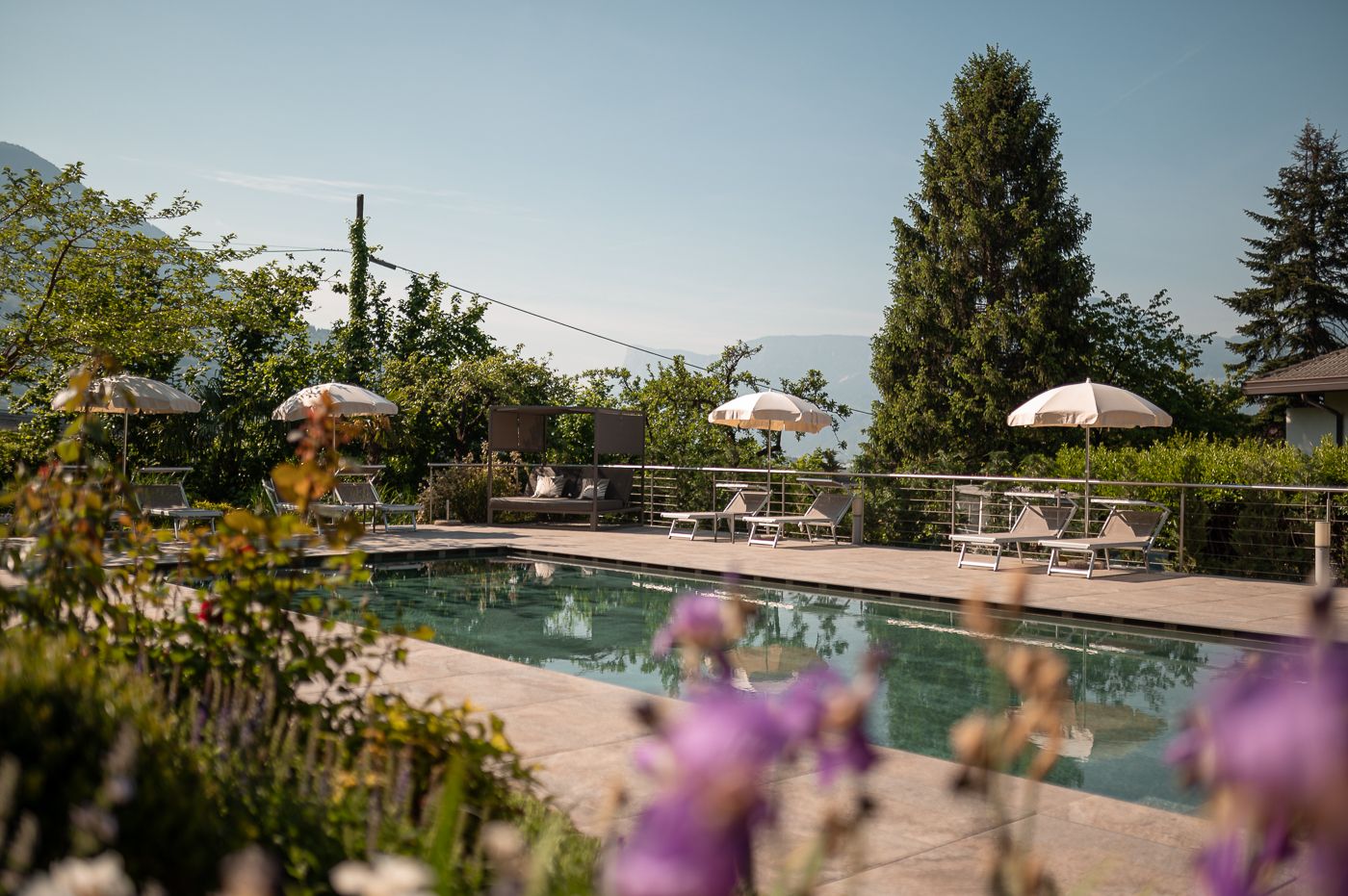 حوض السباحة صورة