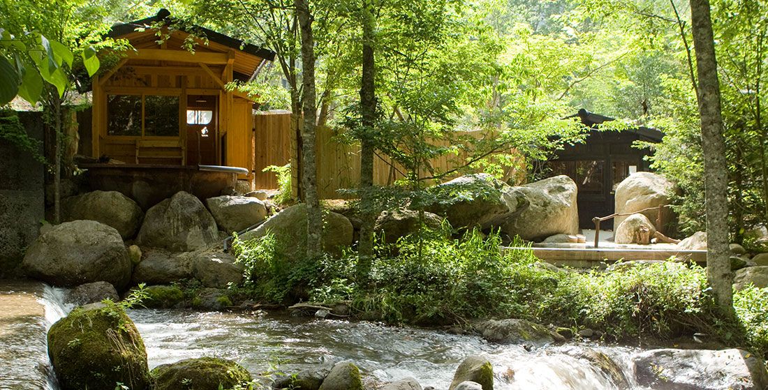 المظهر الخارجي