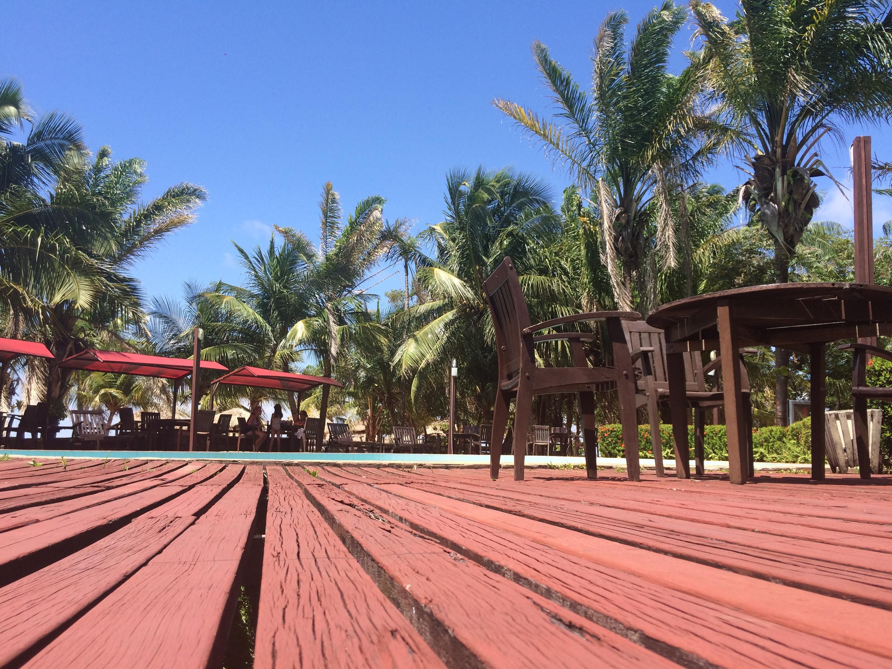 المظهر الخارجي