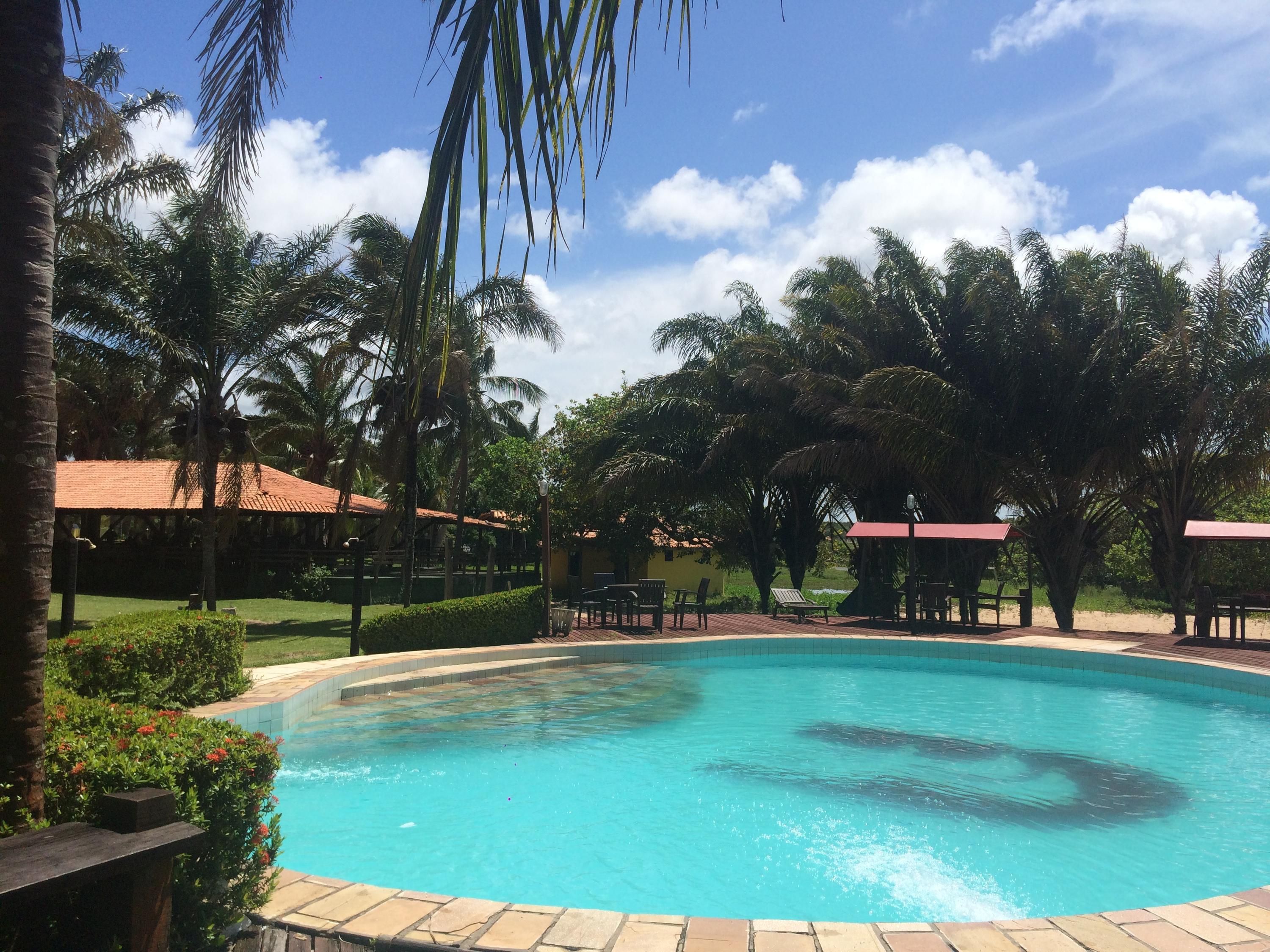 حوض السباحة