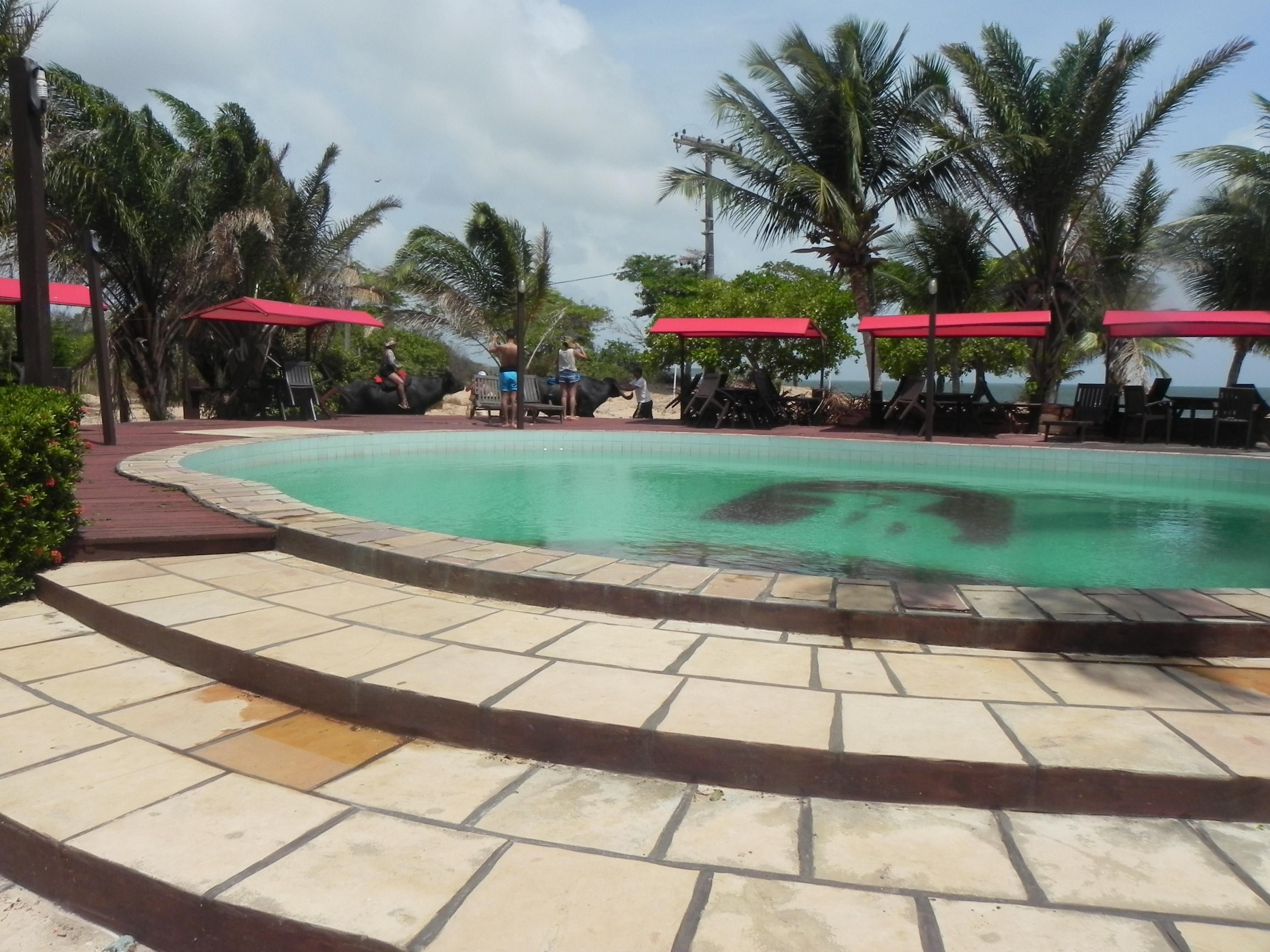 حوض السباحة