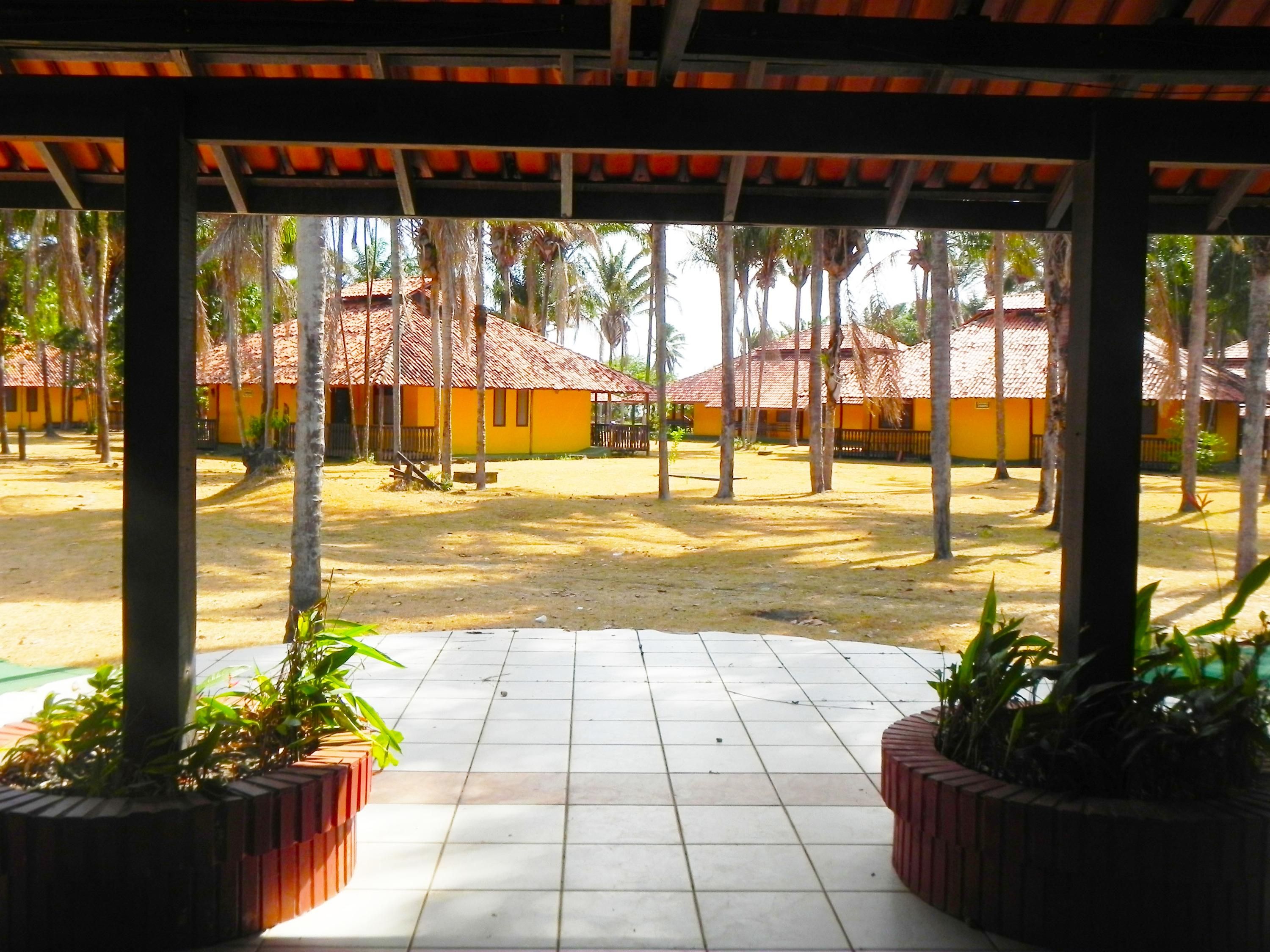 المظهر الخارجي