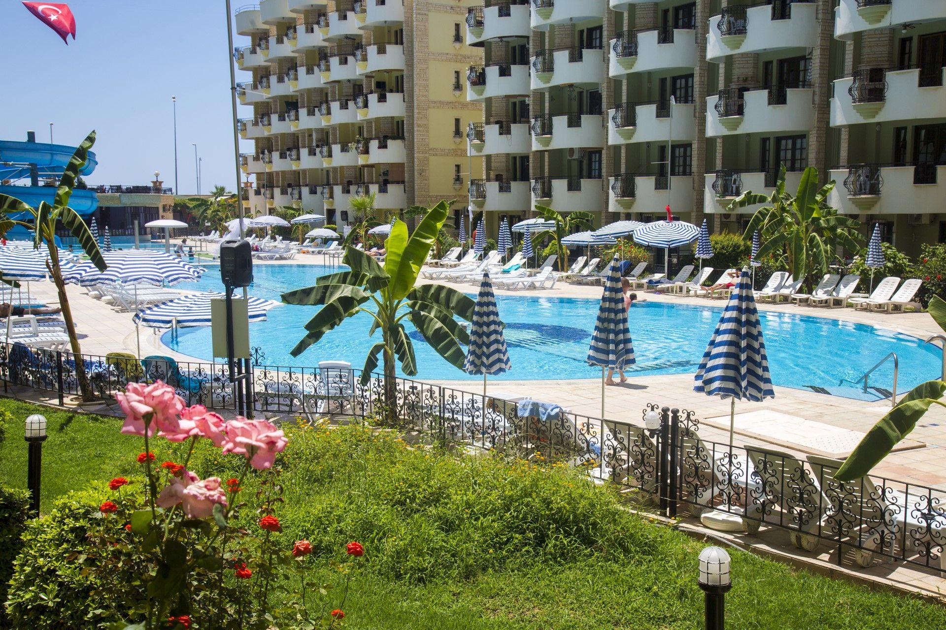 حوض السباحة