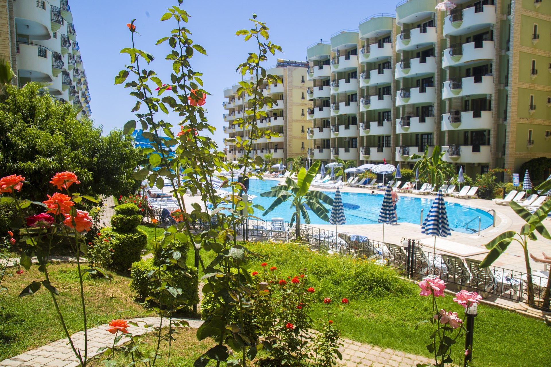 المظهر الخارجي