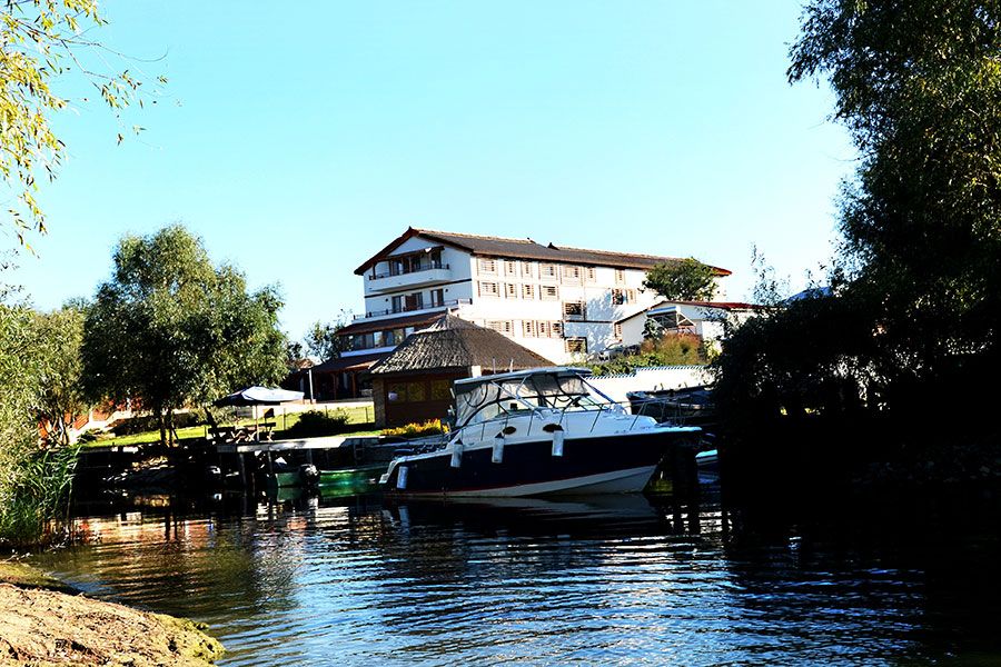 المظهر الخارجي