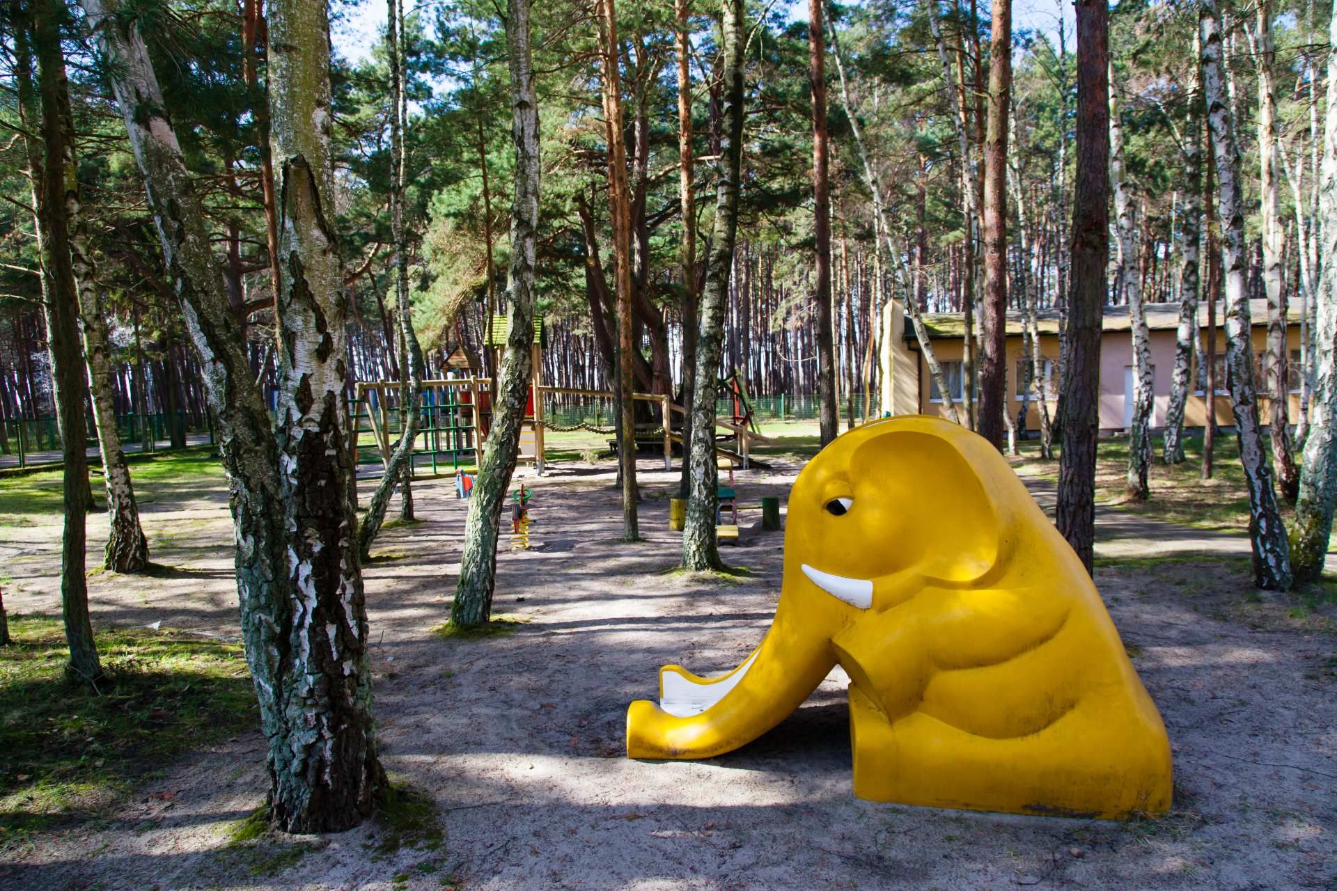 المظهر الخارجي