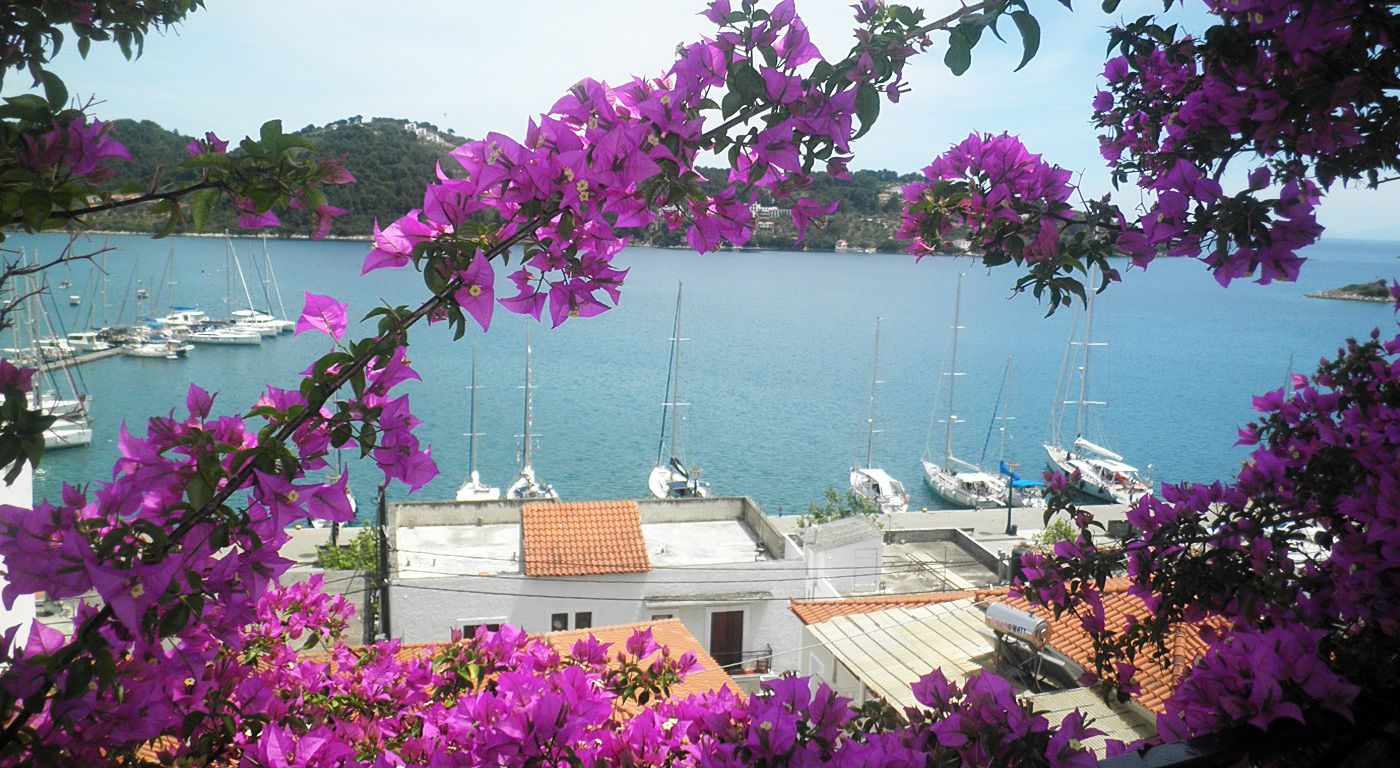 المظهر الخارجي