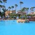 حوض السباحة