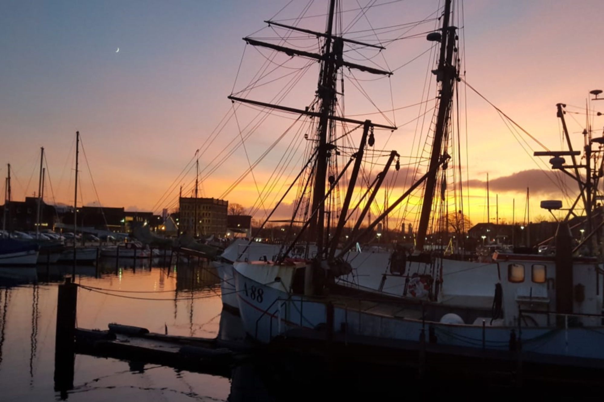 المظهر الخارجي