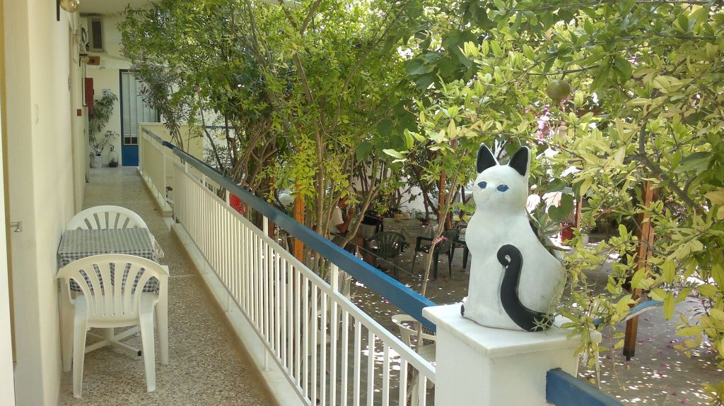 المظهر الخارجي