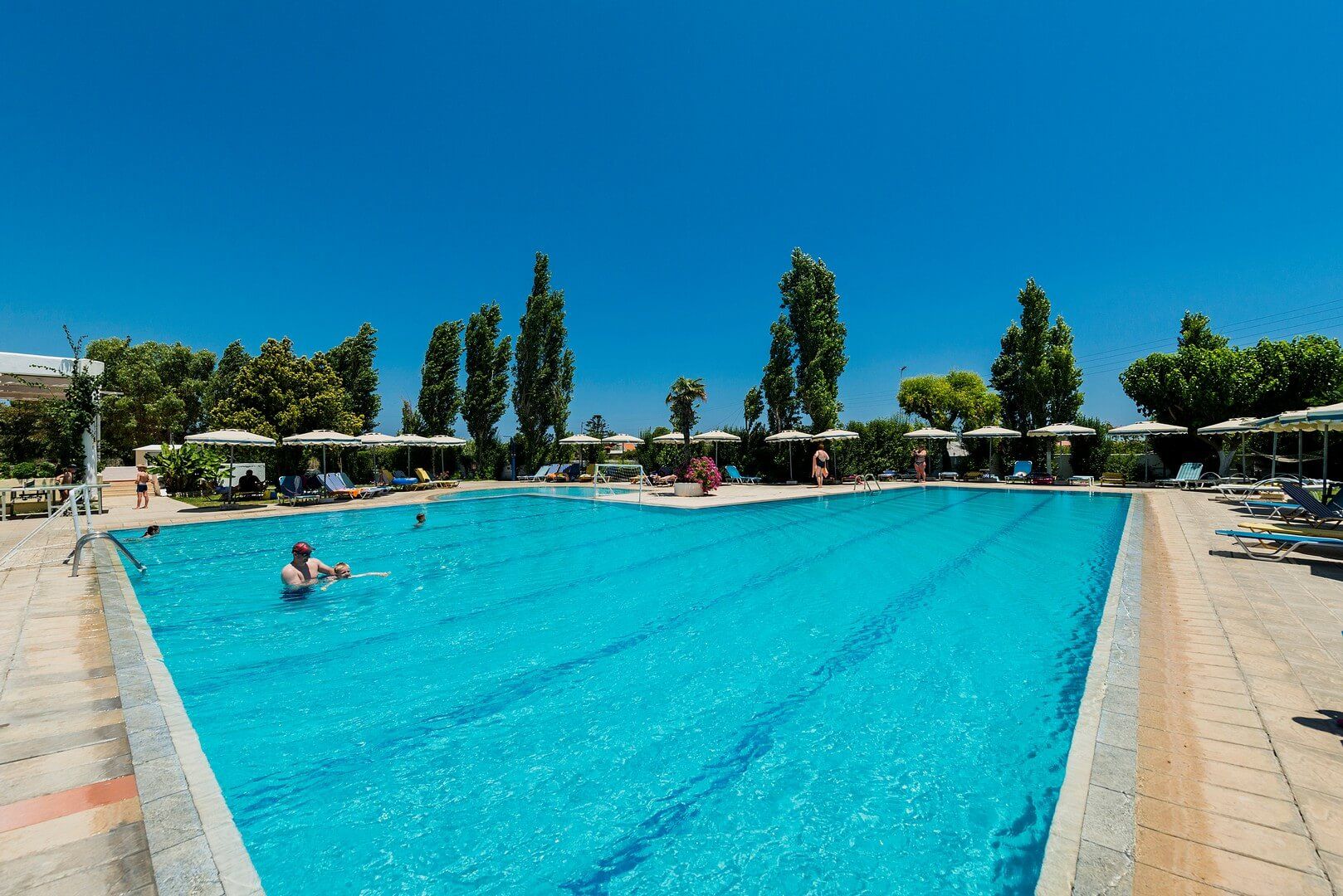 حوض السباحة