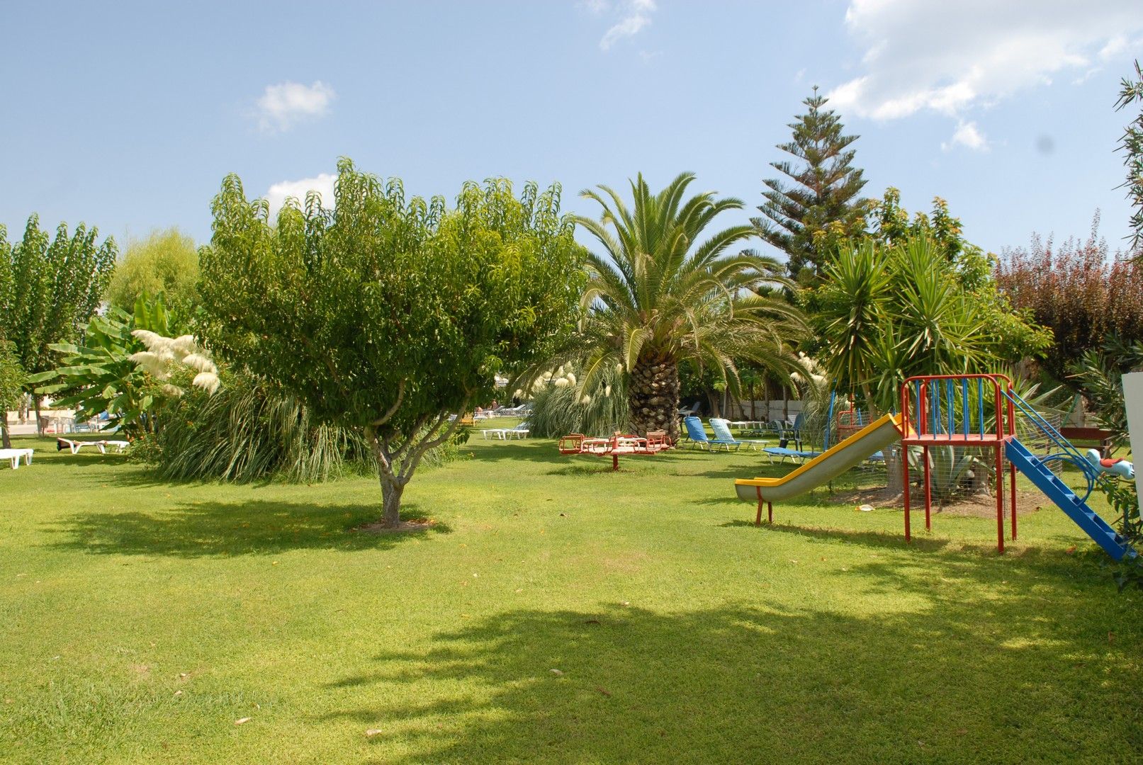 المظهر الخارجي