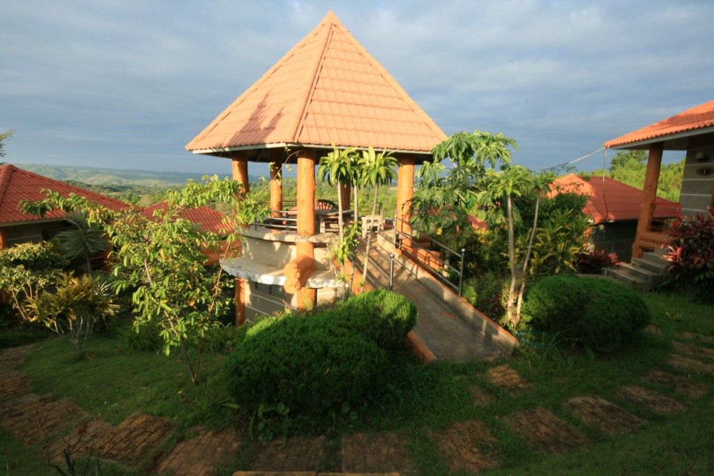 المظهر الخارجي