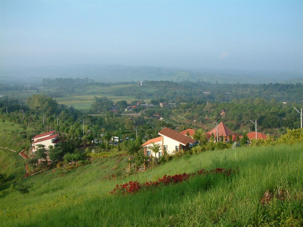 المظهر الخارجي