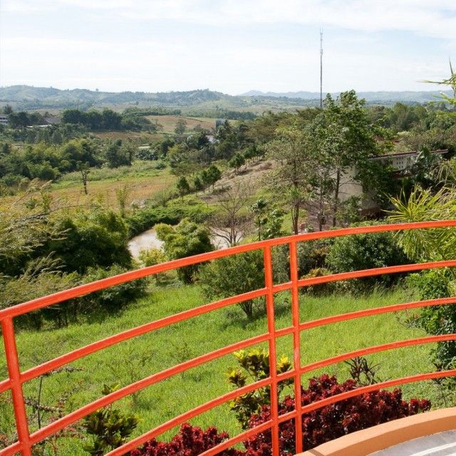 المظهر الخارجي